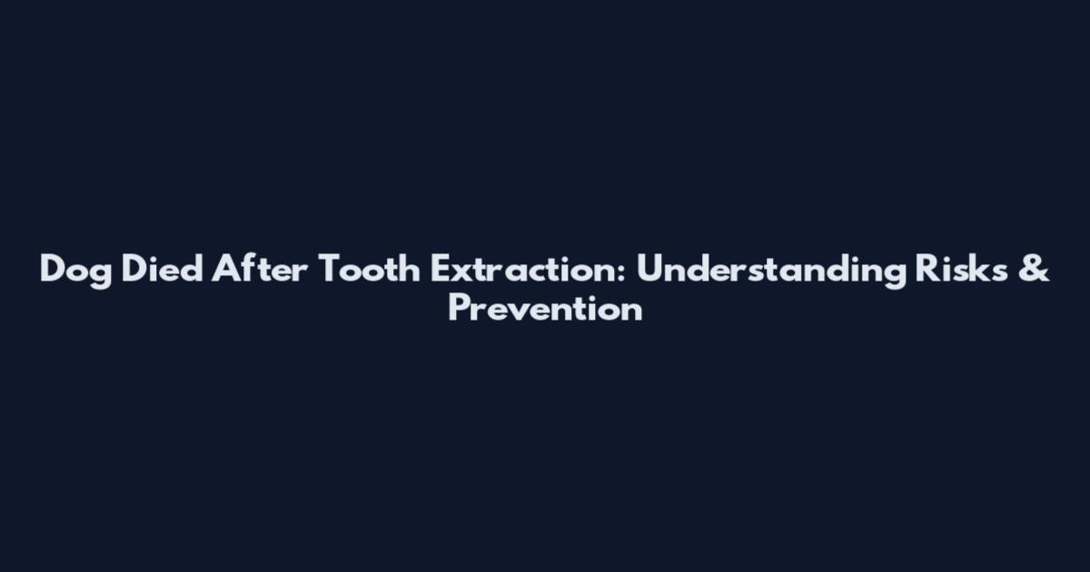 Dog Died After Tooth Extraction: Understanding Risks & Prevention