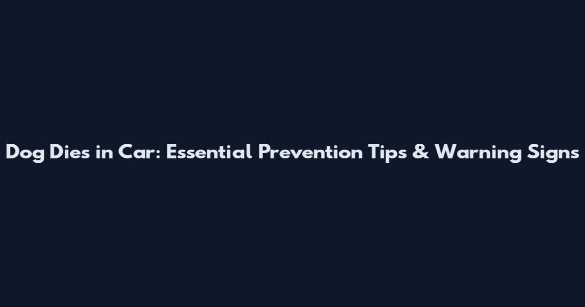 Dog Dies in Car: Essential Prevention Tips & Warning Signs