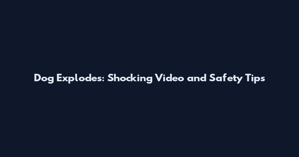 Dog Explodes: Shocking Video and Safety Tips