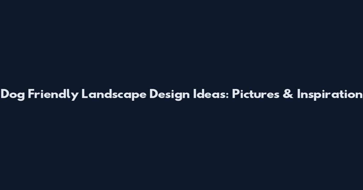 Dog Friendly Landscape Design Ideas: Pictures & Inspiration