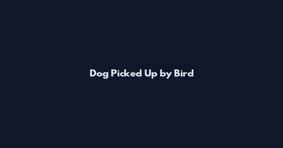 Dog Picked Up by Bird