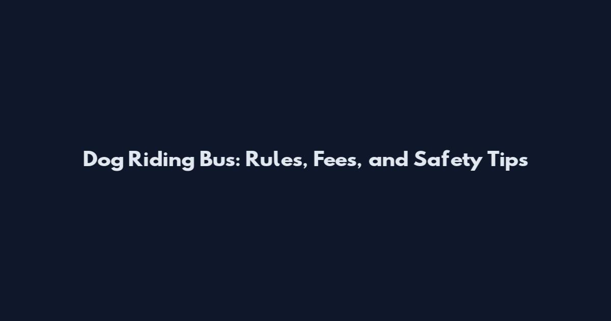 Dog Riding Bus: Rules, Fees, and Safety Tips