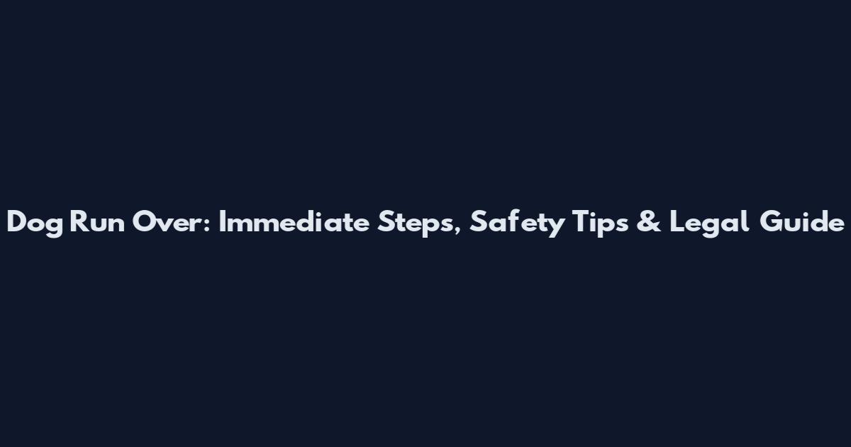 Dog Run Over: Immediate Steps, Safety Tips & Legal Guide