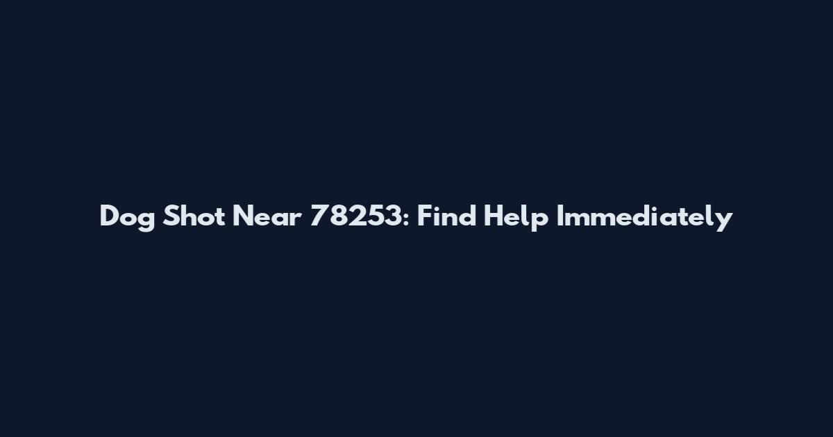 Dog Shot Near 78253: Find Help Immediately