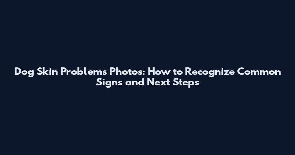 Dog Skin Problems Photos: How to Recognize Common Signs and Next Steps