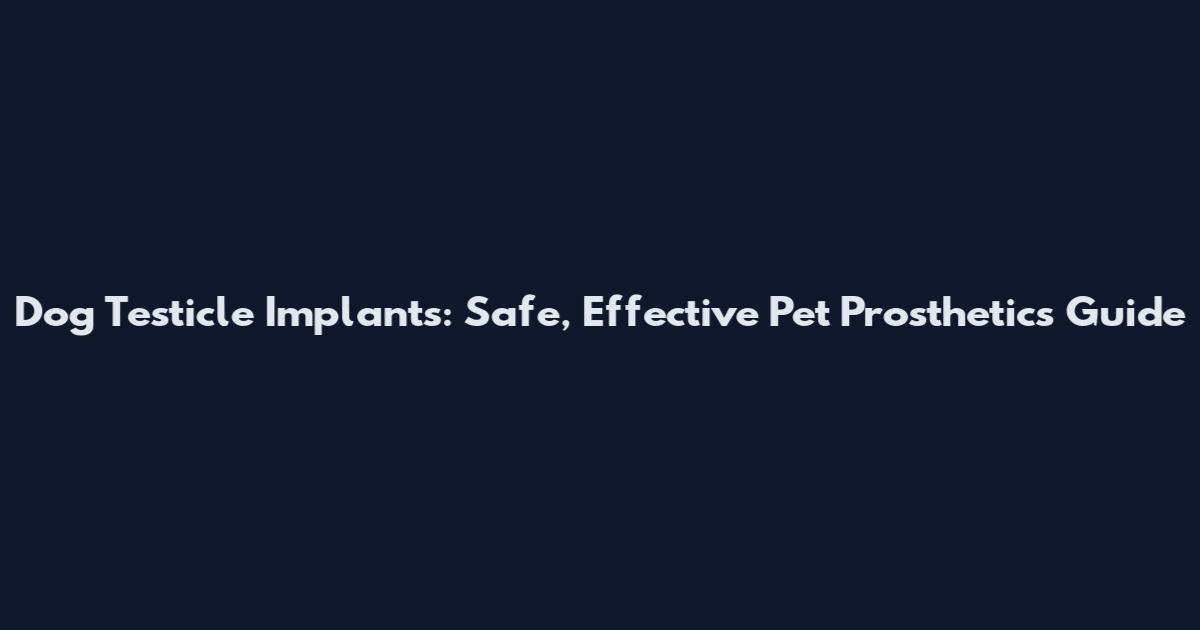 Dog Testicle Implants: Safe, Effective Pet Prosthetics Guide