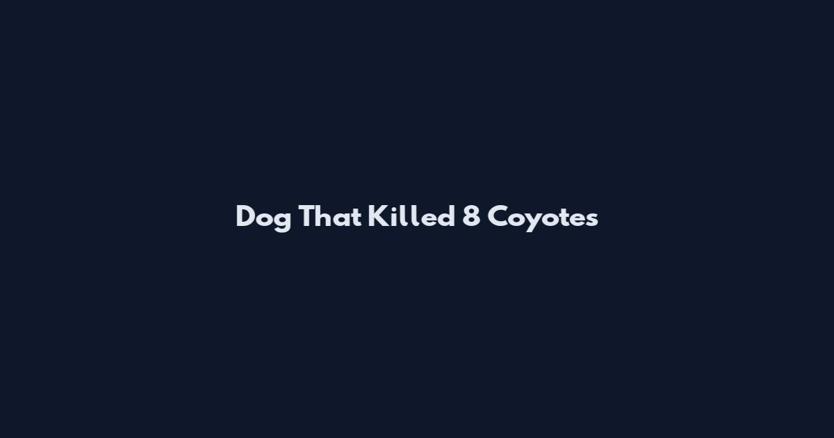 Dog That Killed 8 Coyotes