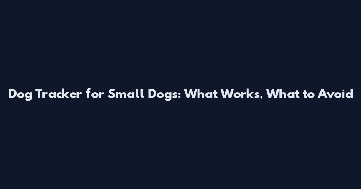 Dog Tracker for Small Dogs: What Works, What to Avoid