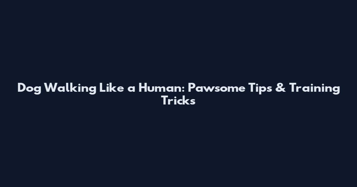 Dog Walking Like a Human: Pawsome Tips & Training Tricks