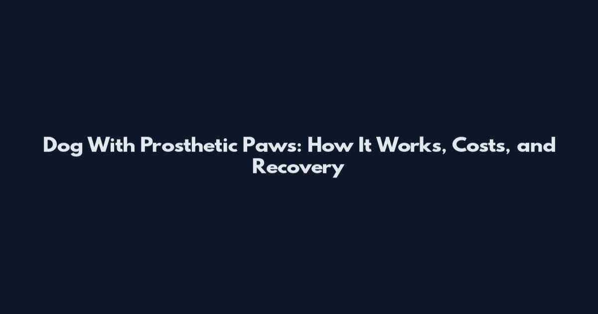Dog With Prosthetic Paws: How It Works, Costs, and Recovery