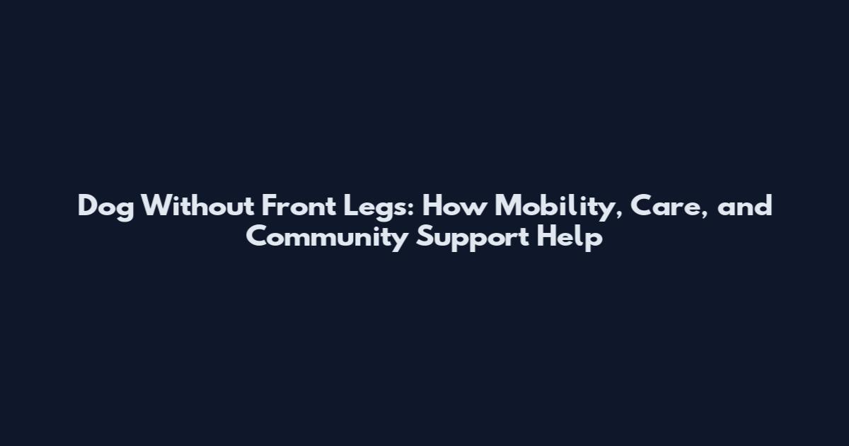 Dog Without Front Legs: How Mobility, Care, and Community Support Help