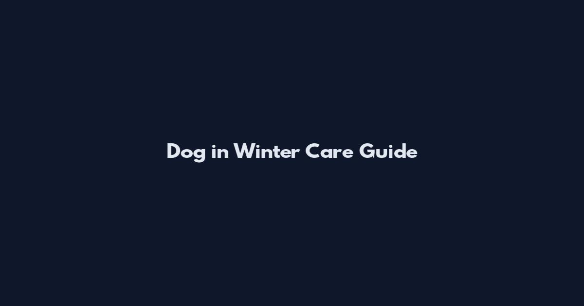 Dog in Winter Care Guide