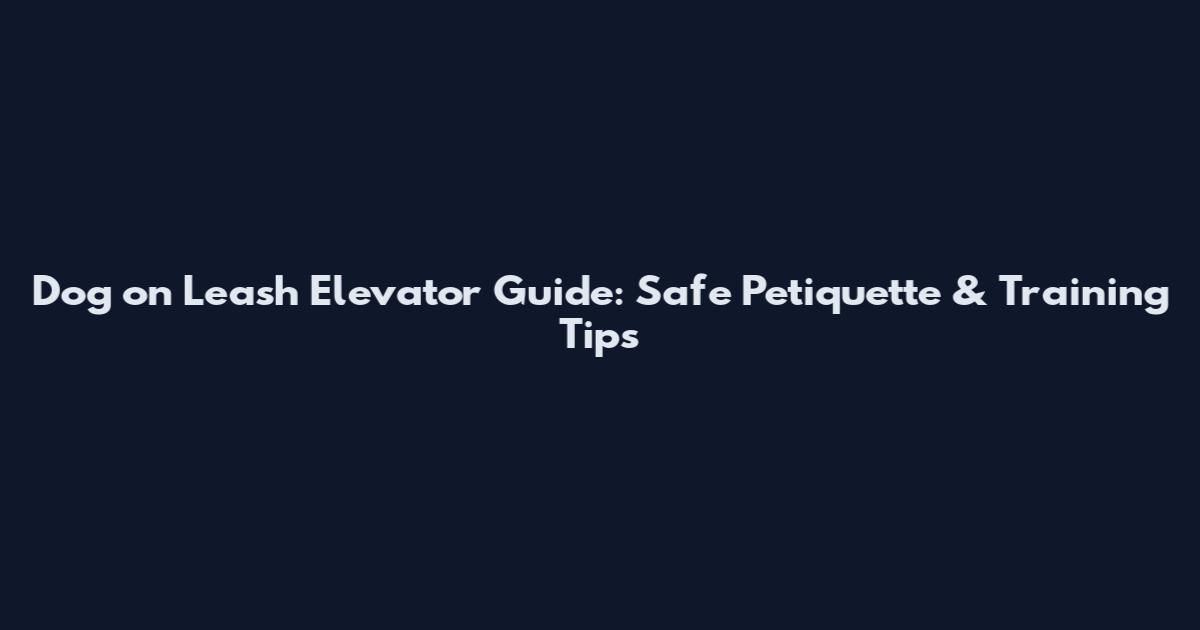 Dog on Leash Elevator Guide: Safe Petiquette & Training Tips