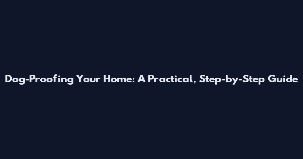 Dog-Proofing Your Home: A Practical, Step-by-Step Guide