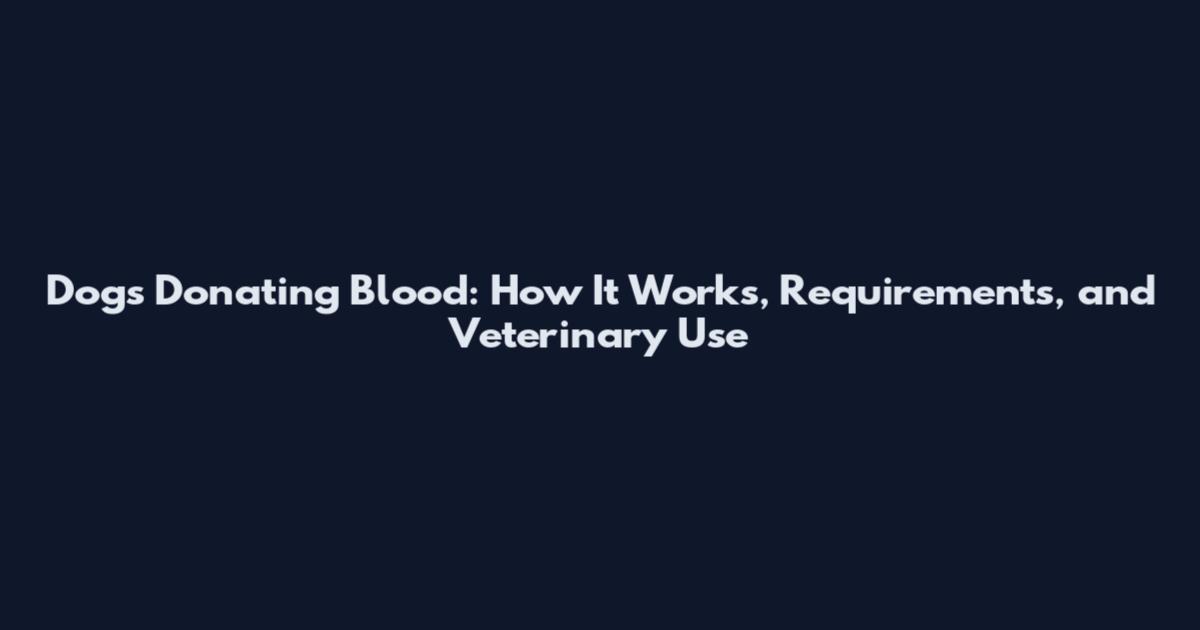 Dogs Donating Blood: How It Works, Requirements, and Veterinary Use