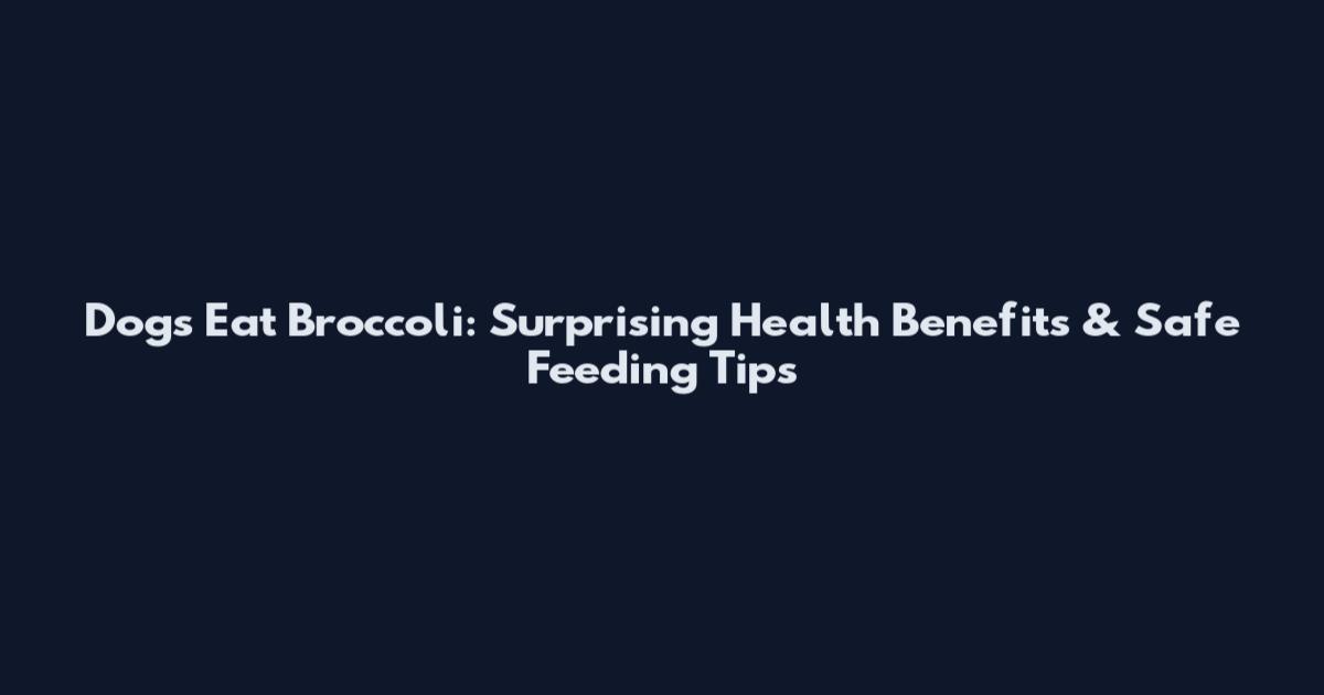 Dogs Eat Broccoli: Surprising Health Benefits & Safe Feeding Tips