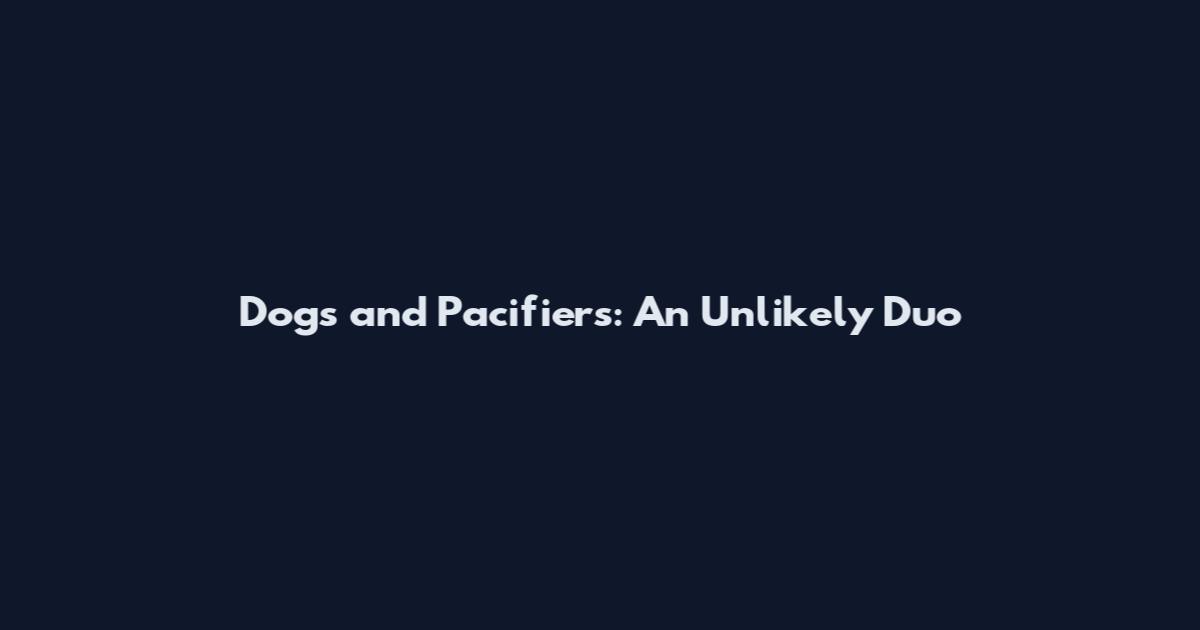Dogs and Pacifiers: An Unlikely Duo