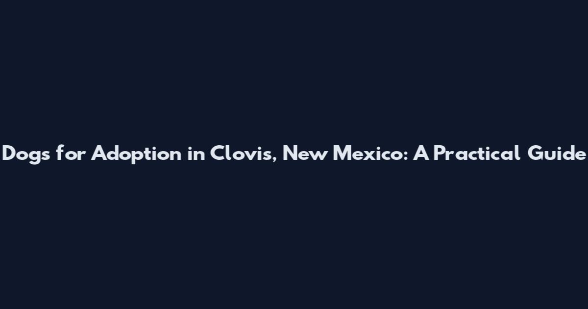 Dogs for Adoption in Clovis, New Mexico: A Practical Guide