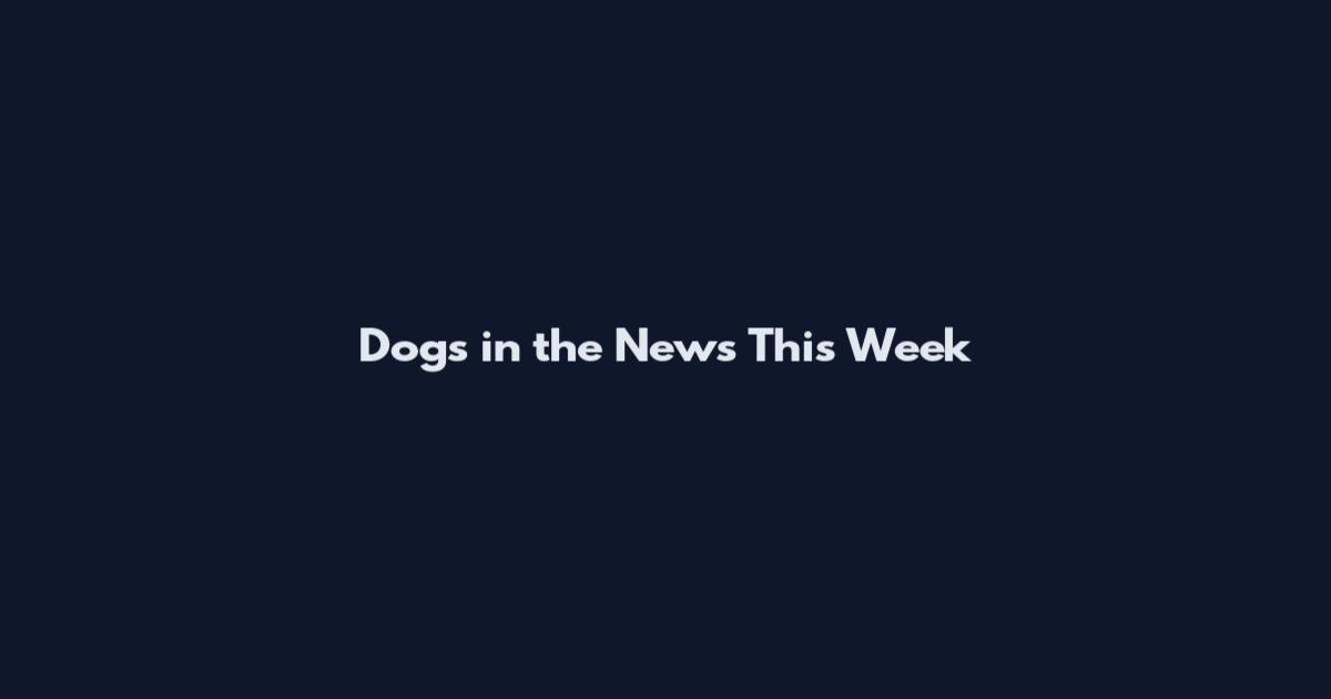 Dogs in the News This Week