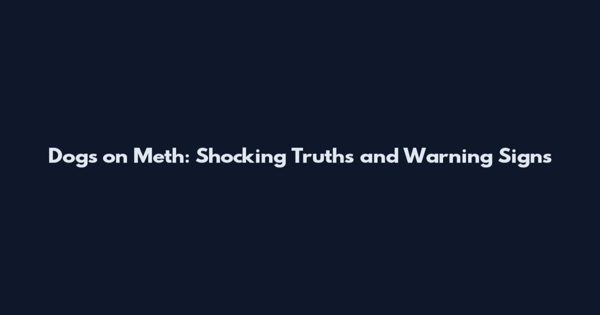 Dogs on Meth: Shocking Truths and Warning Signs