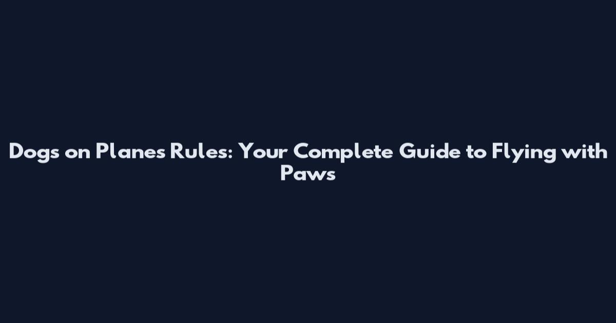 Dogs on Planes Rules: Your Complete Guide to Flying with Paws