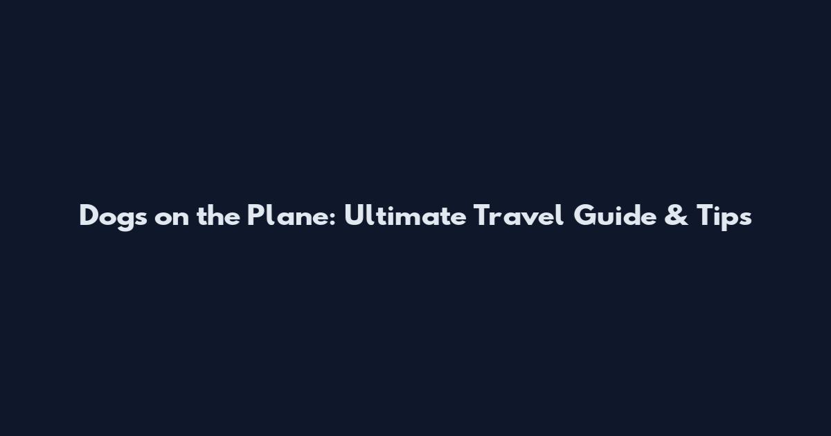 Dogs on the Plane: Ultimate Travel Guide & Tips