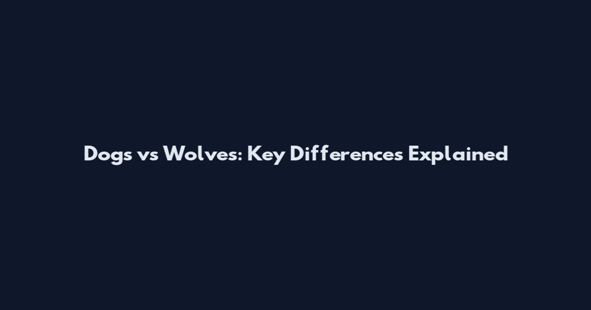 Dogs vs Wolves: Key Differences Explained