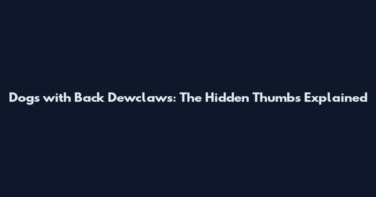 Dogs with Back Dewclaws: The Hidden Thumbs Explained