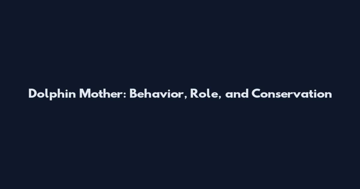 Dolphin Mother: Behavior, Role, and Conservation