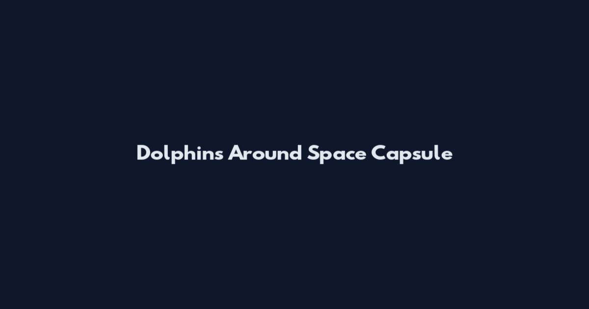 Dolphins Around Space Capsule