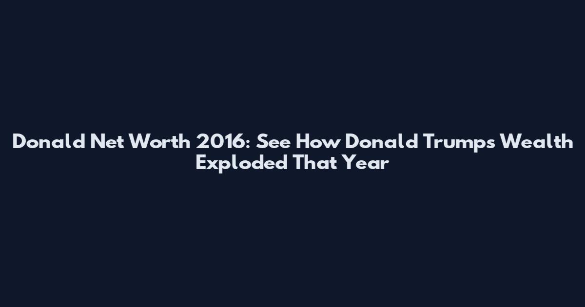 Donald Net Worth 2016: See How Donald Trump's Wealth Exploded That Year