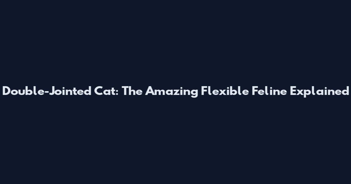 Double-Jointed Cat: The Amazing Flexible Feline Explained