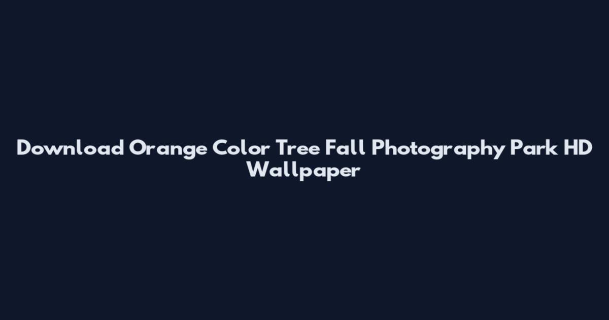Download Orange Color Tree Fall Photography Park HD Wallpaper