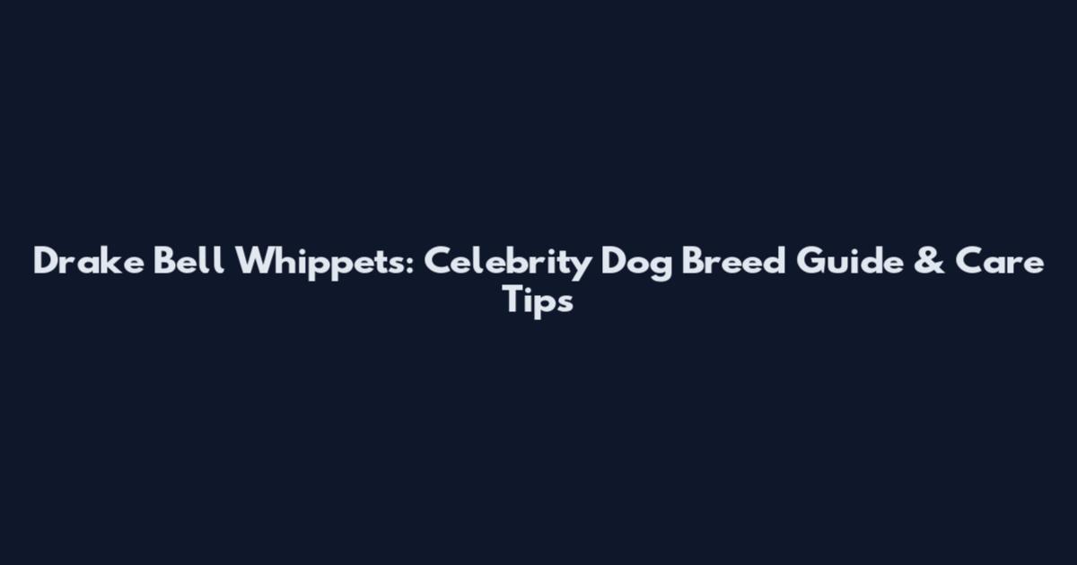 Drake Bell Whippets: Celebrity Dog Breed Guide & Care Tips