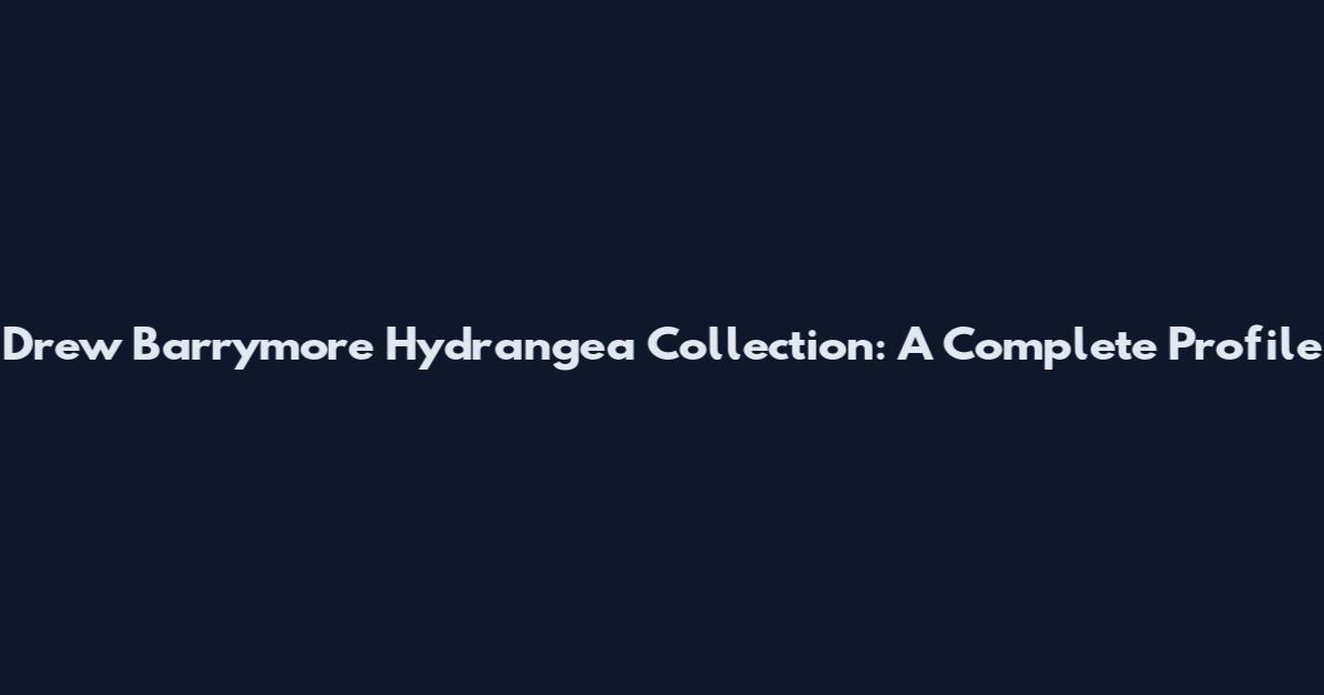 Drew Barrymore Hydrangea Collection: A Complete Profile