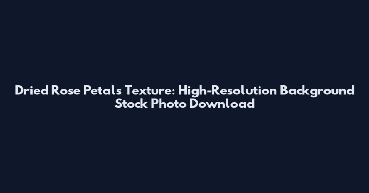 Dried Rose Petals Texture: High-Resolution Background Stock Photo Download
