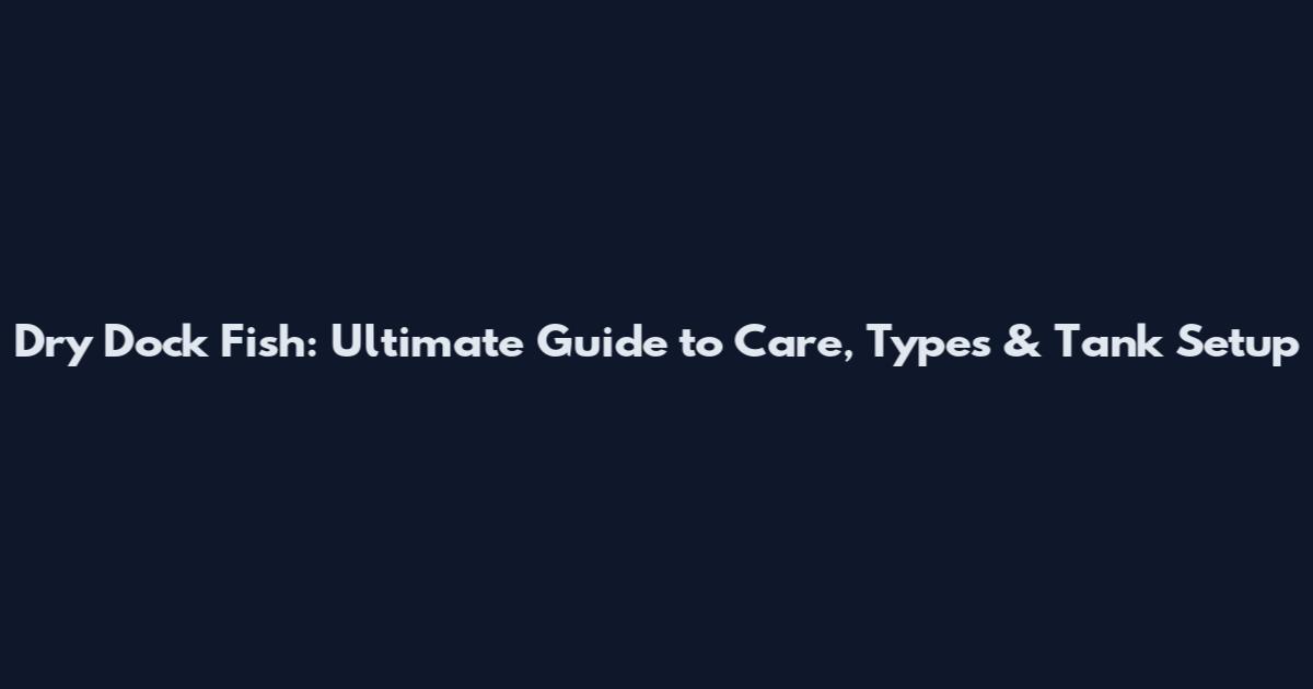 Dry Dock Fish: Ultimate Guide to Care, Types & Tank Setup