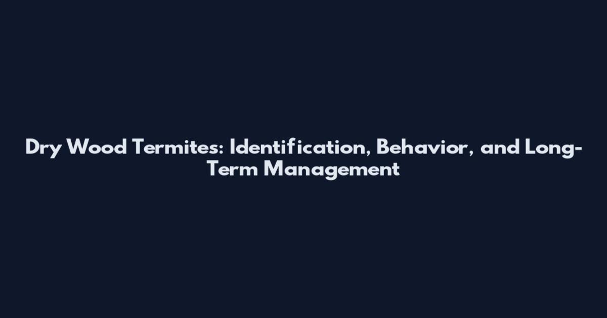 Dry Wood Termites: Identification, Behavior, and Long-Term Management