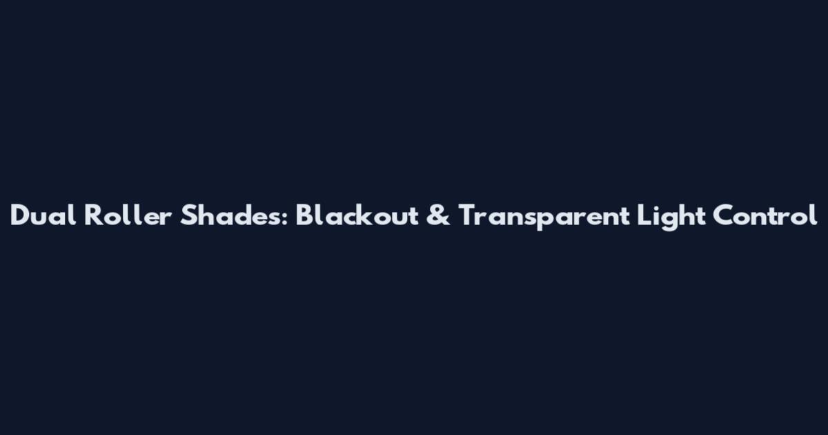 Dual Roller Shades: Blackout & Transparent Light Control