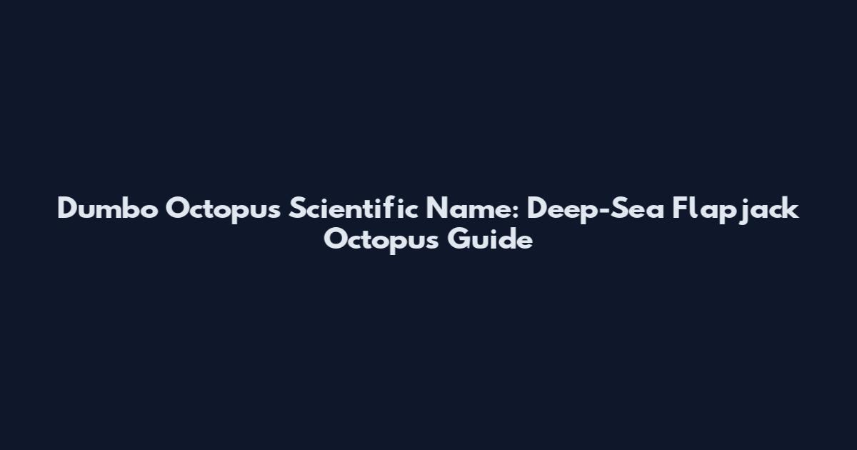 Dumbo Octopus Scientific Name: Deep-Sea Flapjack Octopus Guide