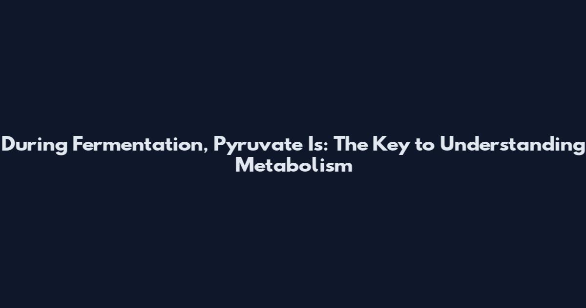 During Fermentation, Pyruvate Is: The Key to Understanding Metabolism