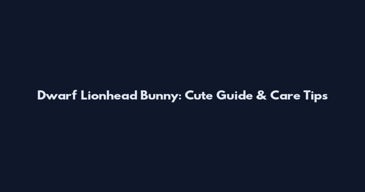 Dwarf Lionhead Bunny: Cute Guide & Care Tips