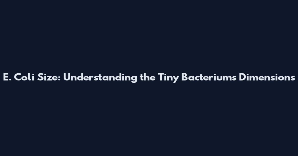 E. Coli Size: Understanding the Tiny Bacterium's Dimensions