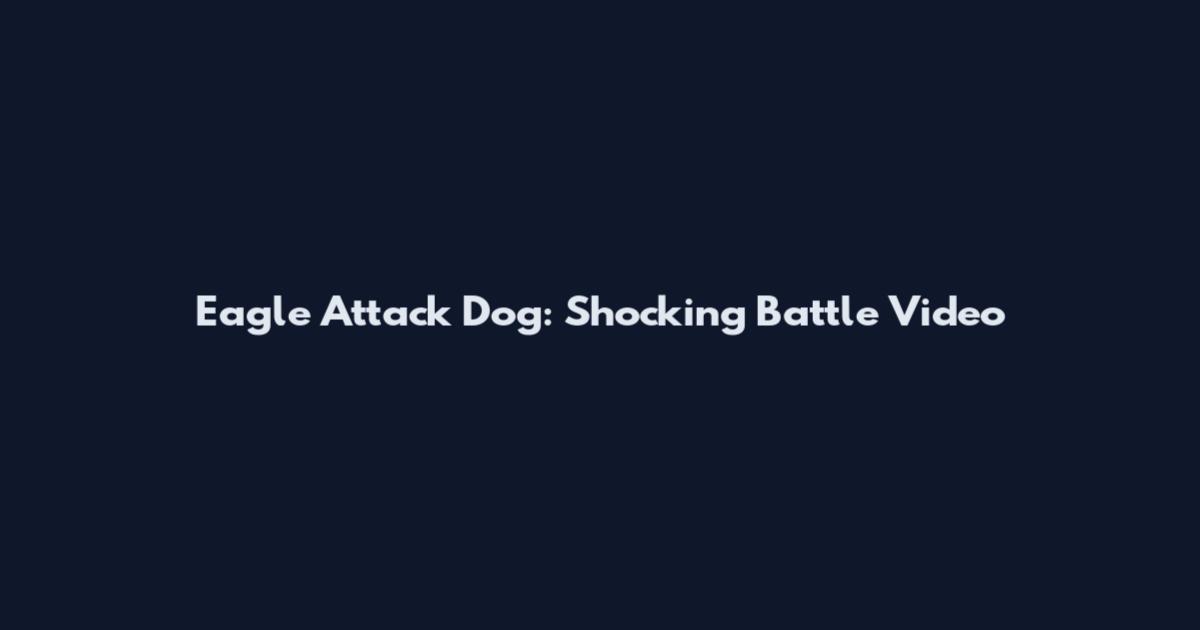 Eagle Attack Dog: Shocking Battle Video