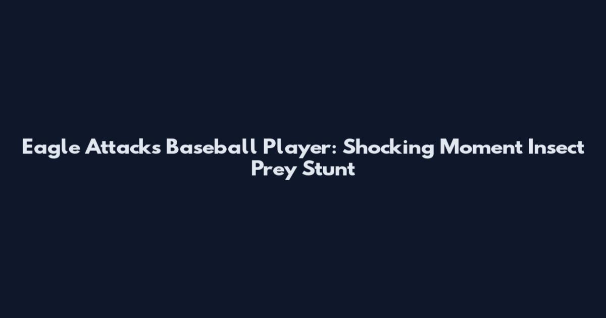 Eagle Attacks Baseball Player: Shocking Moment Insect Prey Stunt