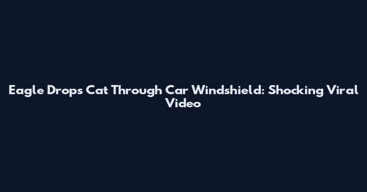 Eagle Drops Cat Through Car Windshield: Shocking Viral Video