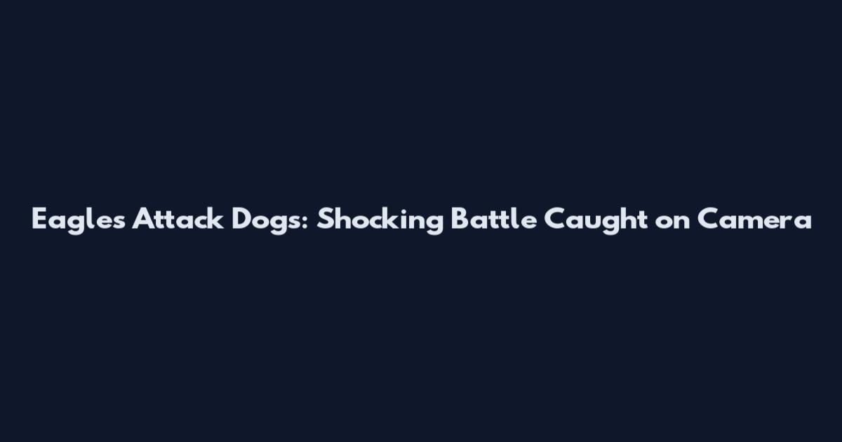 Eagles Attack Dogs: Shocking Battle Caught on Camera