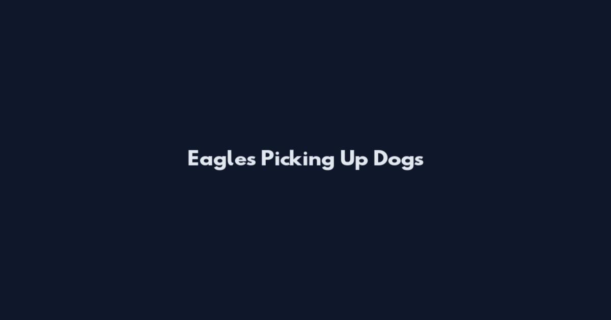 Eagles Picking Up Dogs