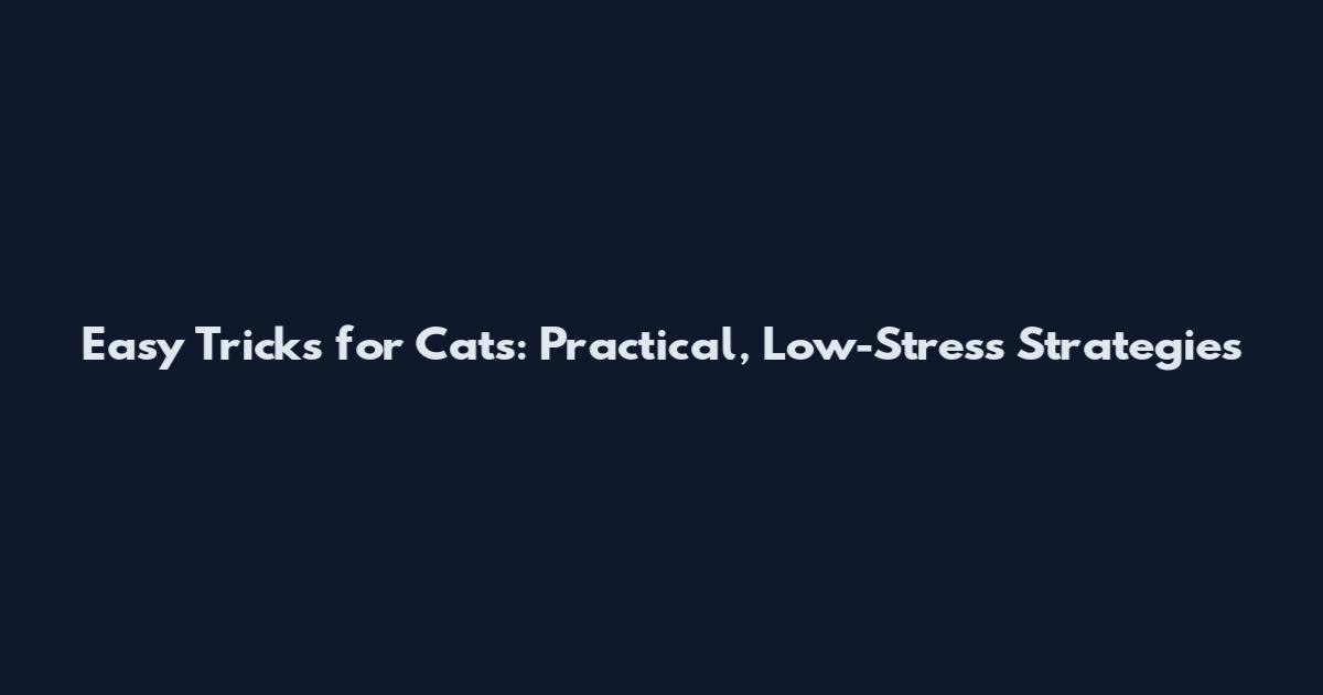 Easy Tricks for Cats: Practical, Low-Stress Strategies