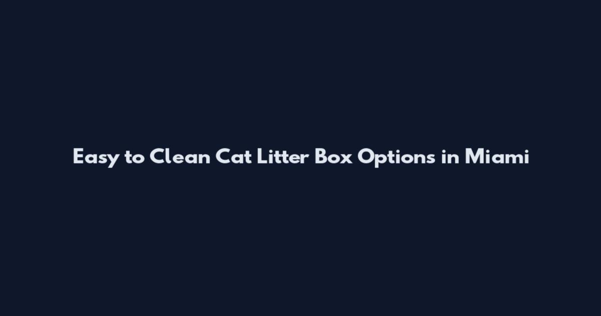 Easy to Clean Cat Litter Box Options in Miami